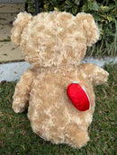 Embroidery Brown Teddy Bear